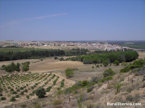 Panormica desde el 'Teso de la Horca' - CASTRONUO, Valladolid, Castilla y Len